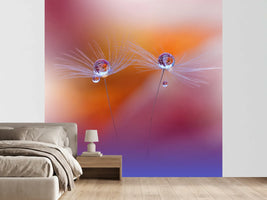photo-wallpaper-two-worlds