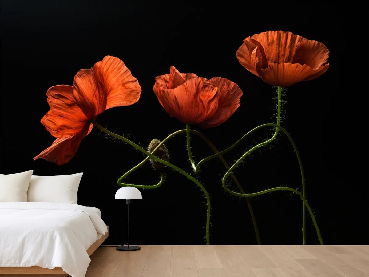 photo-wallpaper-dancing-red-poppies