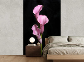 photo-wallpaper-3-purple-callas