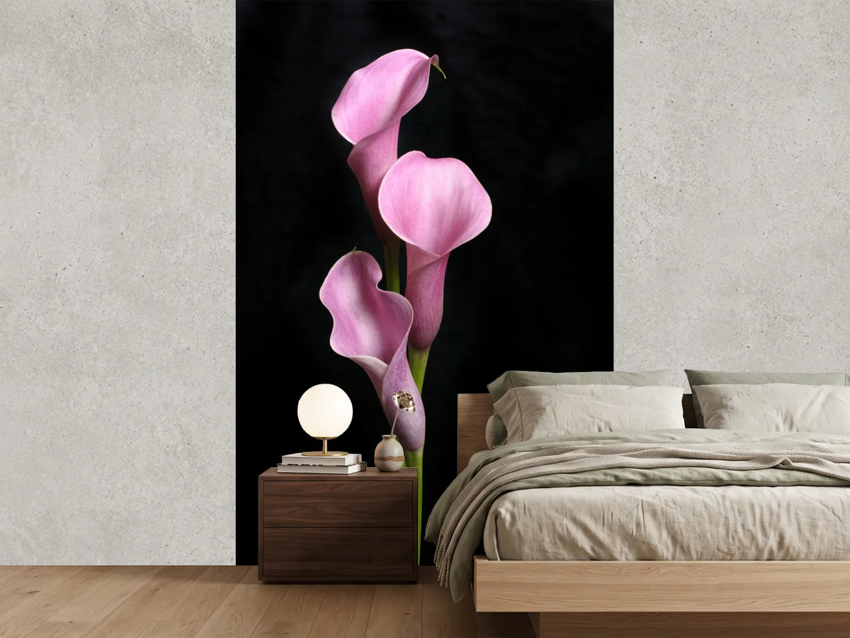 photo-wallpaper-3-purple-callas