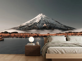 photo-wallpaper-aotearoa-x