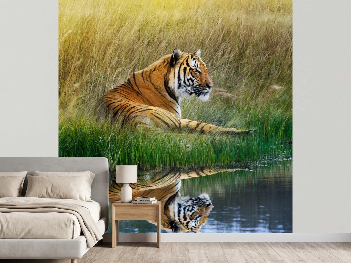 photo-wallpaper-the-tiger