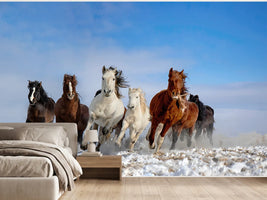 photo-wallpaper-wild-horses-galloping