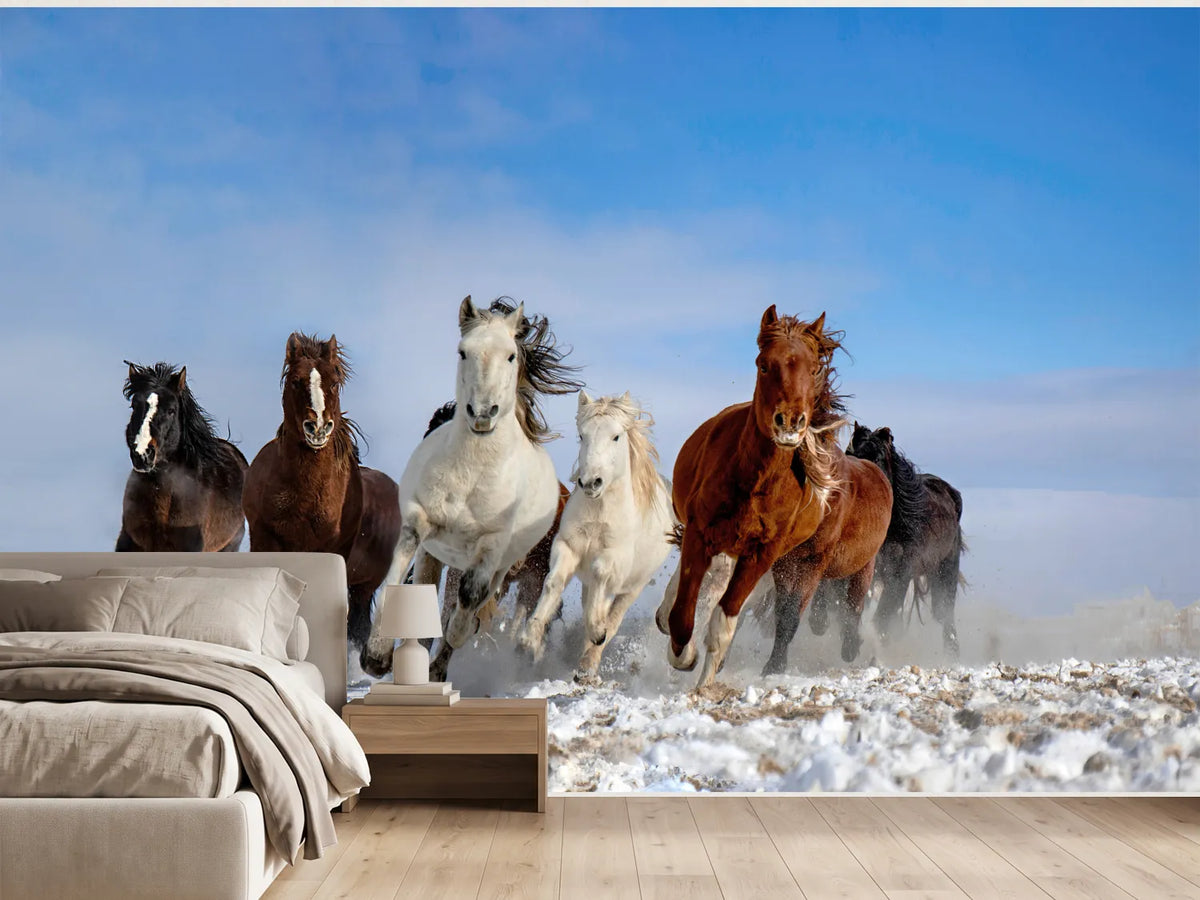 photo-wallpaper-wild-horses-galloping