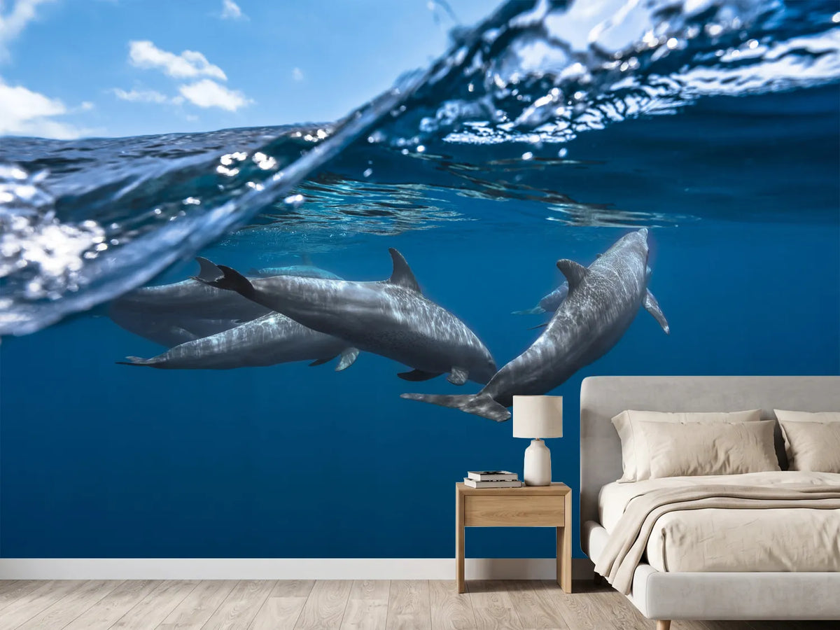 photo-wallpaper-dolphins
