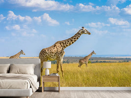 photo-wallpaper-trio-giraffes-x