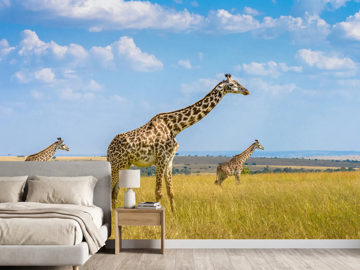 photo-wallpaper-trio-giraffes-x