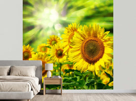 photo-wallpaper-the-sun-and-the-flowers