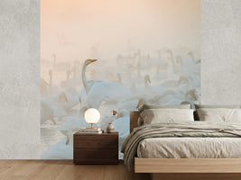 photo-wallpaper-song-of-the-morning-light