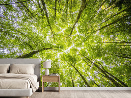 photo-wallpaper-under-the-treetops