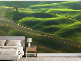 photo-wallpaper-rolling-green-hills