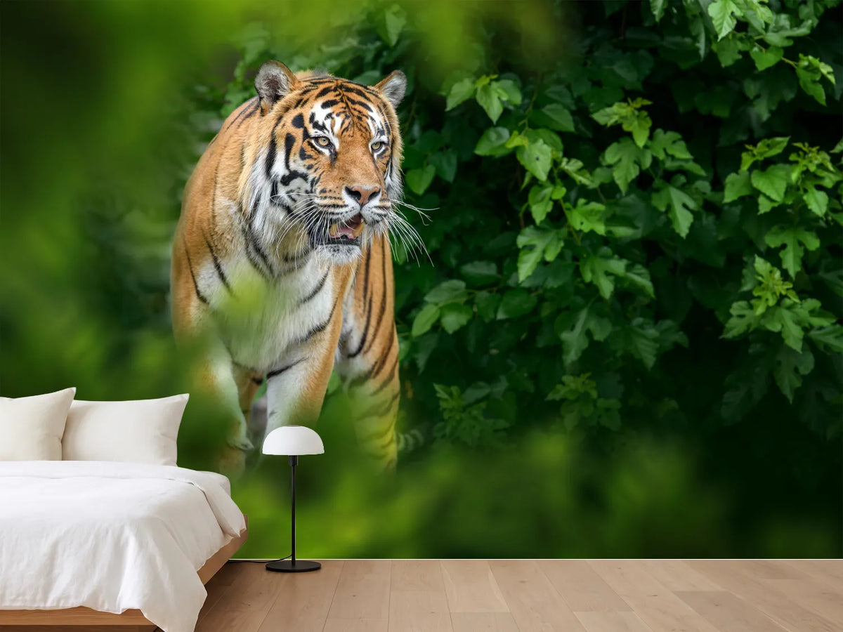 photo-wallpaper-tiger-wild-animal-in-the-natural-habitat