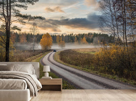 photo-wallpaper-drive-in-autumn-colors-x