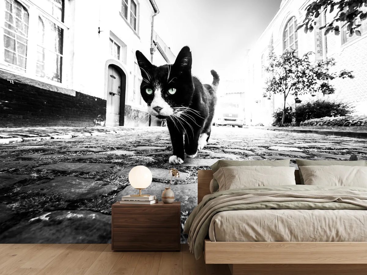 photo-wallpaper-focus-x
