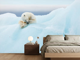 photo-wallpaper-polar-bear-grooming