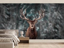 photo-wallpaper-red-deer-in-the-winter-snow-forest
