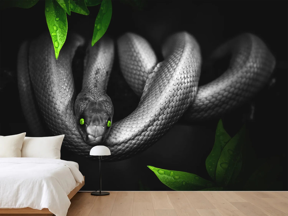 photo-wallpaper-attention-snake