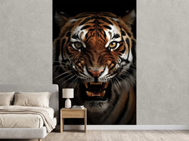 photo-wallpaper-snarling-tiger-in-the-dark-with-amber-eyes