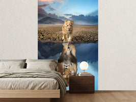 photo-wallpaper-lion-cub-looking-the-reflection-of-an-adult-lion-in-the-water