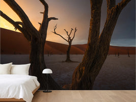 photo-wallpaper-dead-trees-desert-sunset