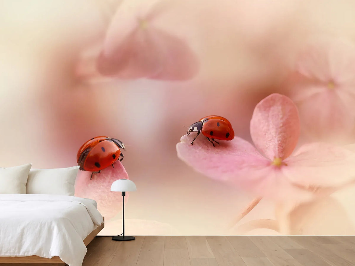 photo-wallpaper-ladybirds-on-pink-hydrangea