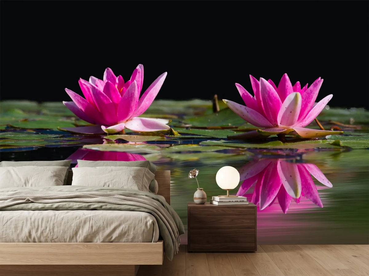photo-wallpaper-water-lilies-duo-in-pink