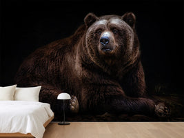 photo-wallpaper-bear-portrait-xav