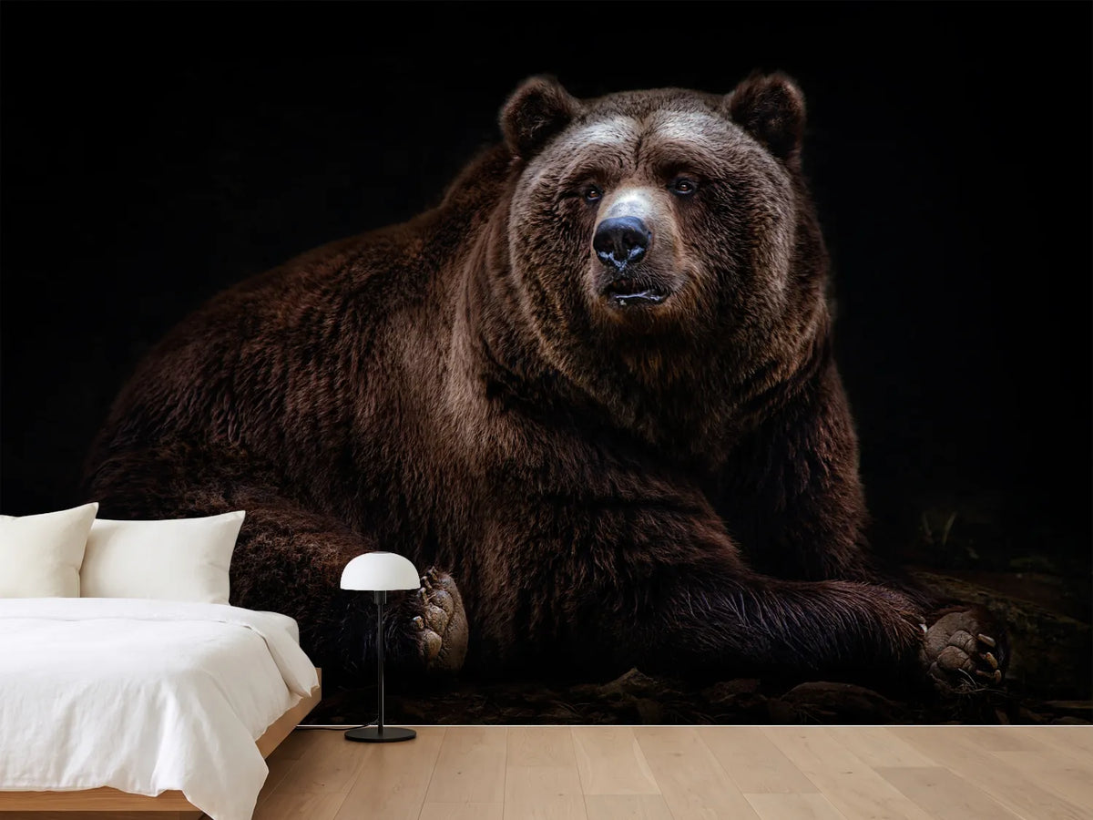 photo-wallpaper-bear-portrait-xav