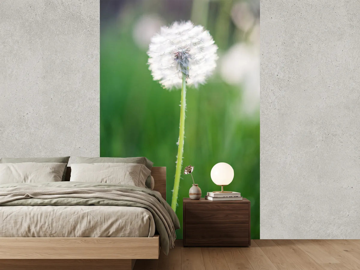 photo-wallpaper-dandelion
