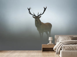 photo-wallpaper-majestic-stag-in-fog