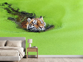 photo-wallpaper-relaxation-x