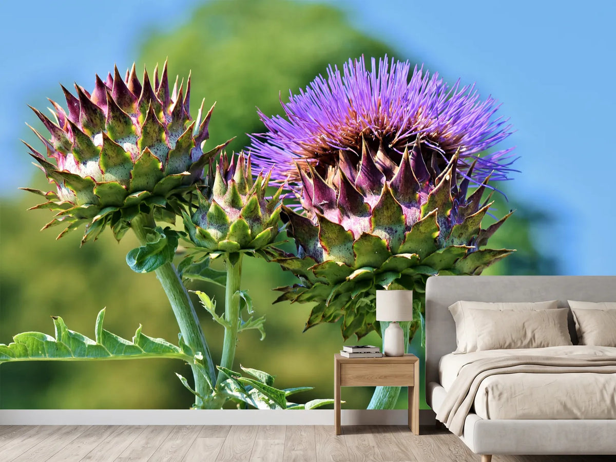 photo-wallpaper-the-artichoke-xl