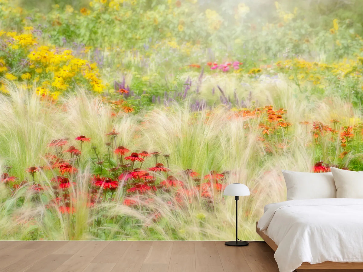 photo-wallpaper-summer-reverie-x