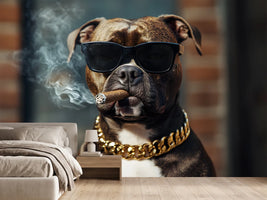 photo-wallpaper-dog-in-sunglasses-with-a-cigar-and-gold-chain