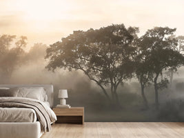 photo-wallpaper-savana-sunrise-x