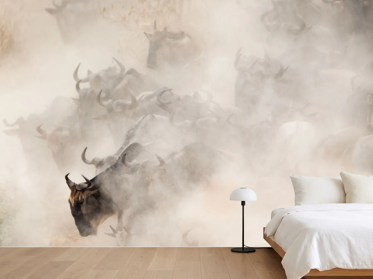 photo-wallpaper-dust-x