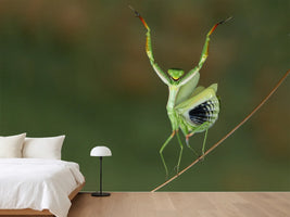 photo-wallpaper-are-you-gonna-dance-with-me