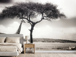 photo-wallpaper-under-the-african-sun