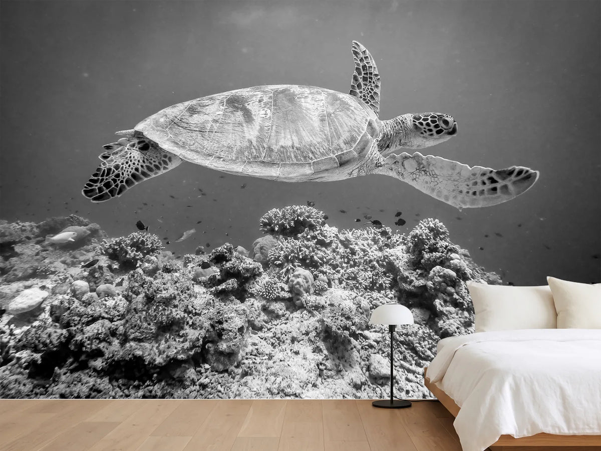 photo-wallpaper-sea-turtle-at-sipadan-x