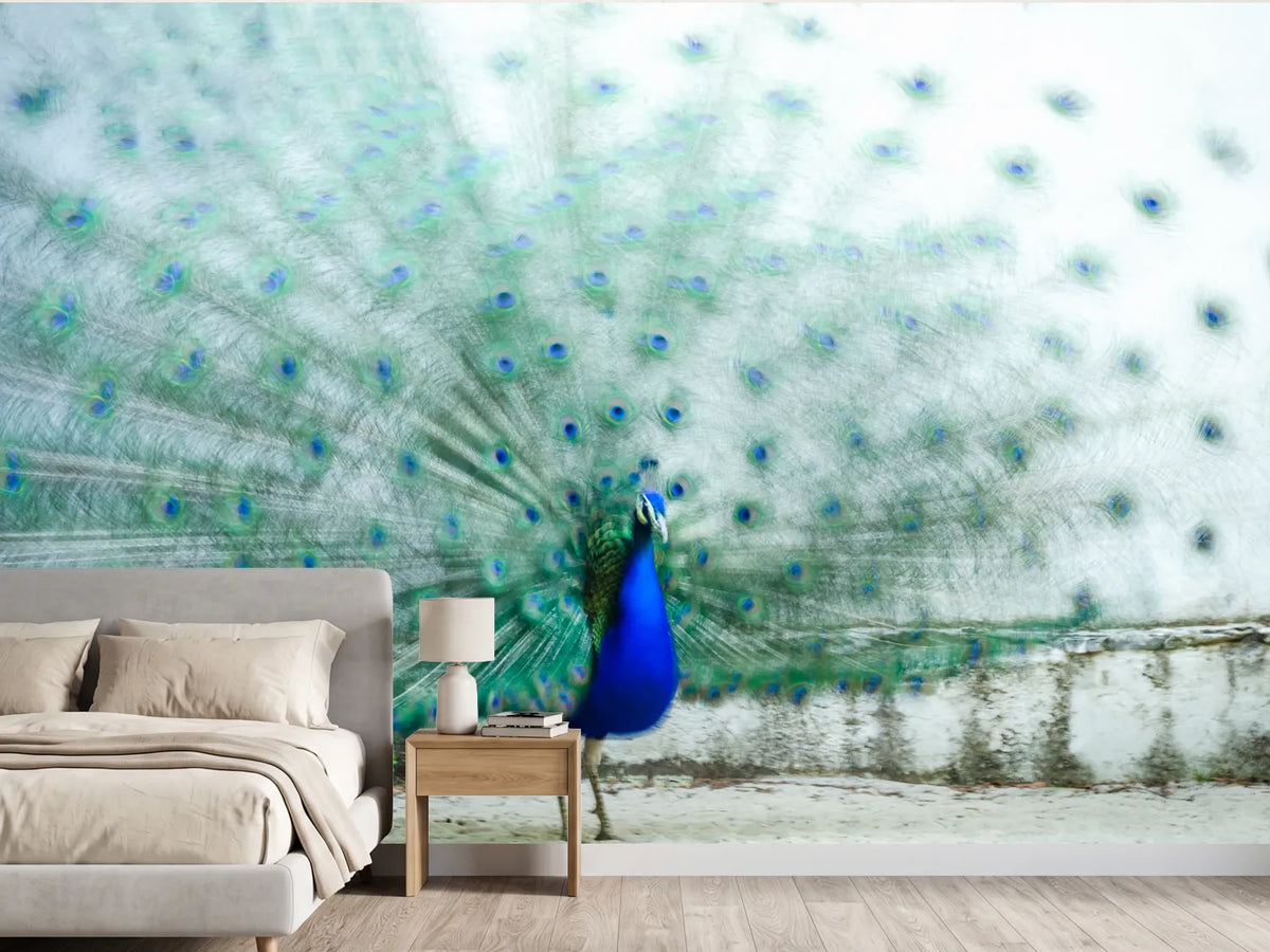 photo-wallpaper-vibrant-peacock-display