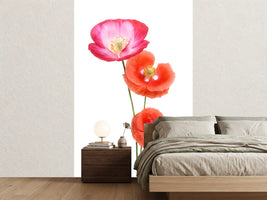 photo-wallpaper-colourful-poppies-x