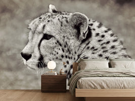 photo-wallpaper-beautiful-cheetah