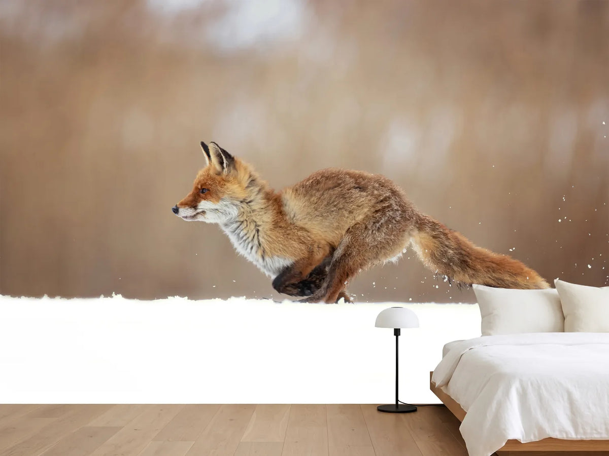 photo-wallpaper-red-fox-xmv
