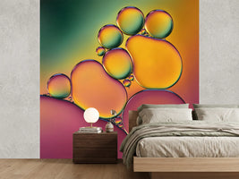 photo-wallpaper-acrobats