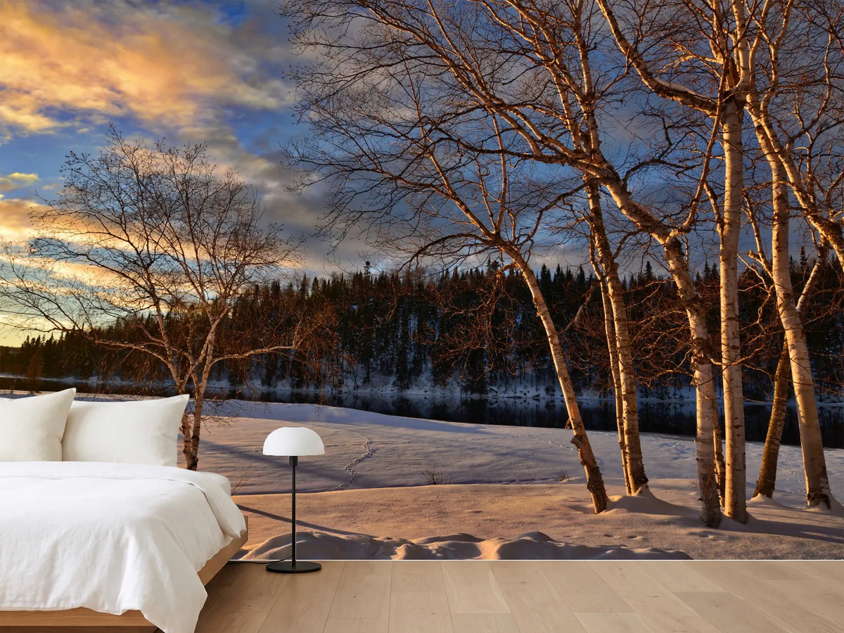 photo-wallpaper-birches-in-the-winter