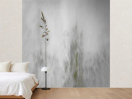 photo-wallpaper-blade-of-grass
