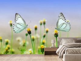 photo-wallpaper-2-butterflies