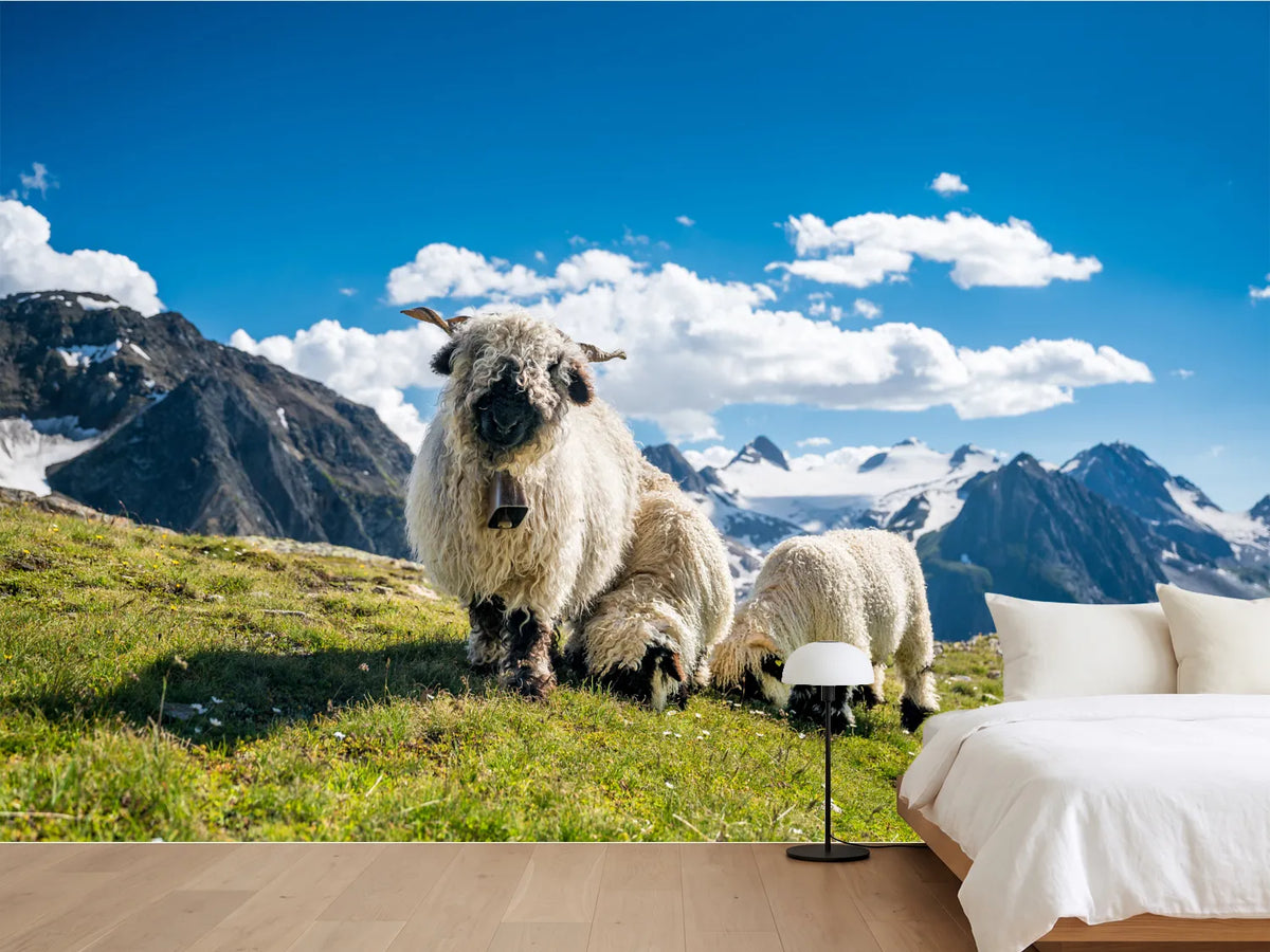 photo-wallpaper-sheep-in-the-wind-of-the-alps