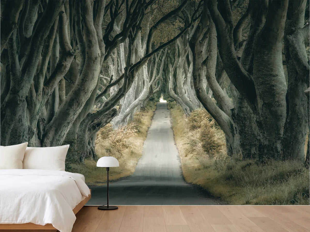 photo-wallpaper-enchanted-tree-tunnel