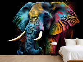 photo-wallpaper-rainbow-colored-elephant